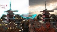91麻豆国产视频-乐在当下，探索91麻豆国产视频的文化现象与社会视角