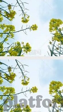 久热久热免费视频中文字幕66-探索网络世界的多元娱乐,影视文化的丰富性
