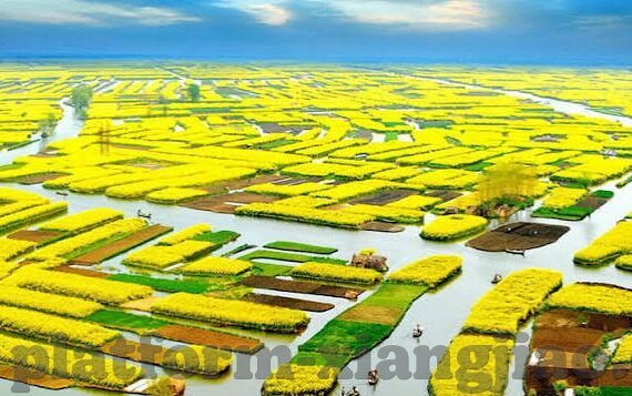 糖心app苹果版下载-如何获得糖心APP苹果版，一步到位的指南
